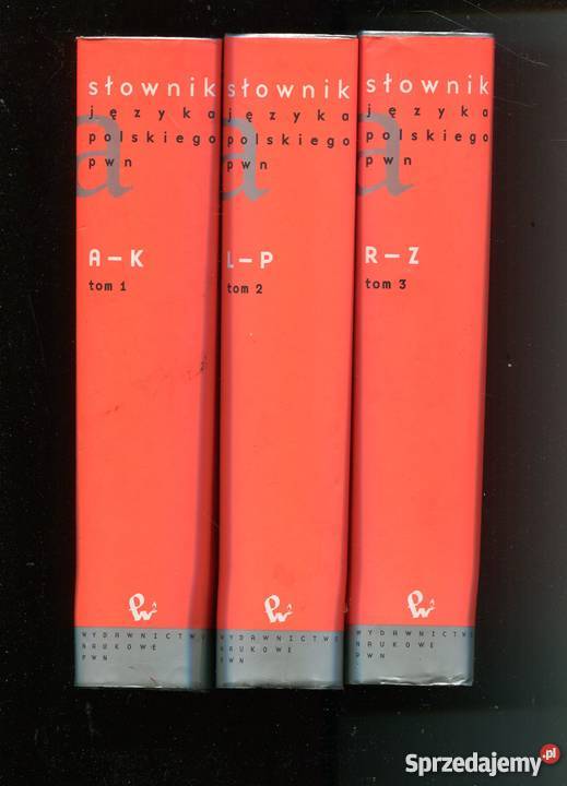 Słownik języka polskiego T13 Szczecin