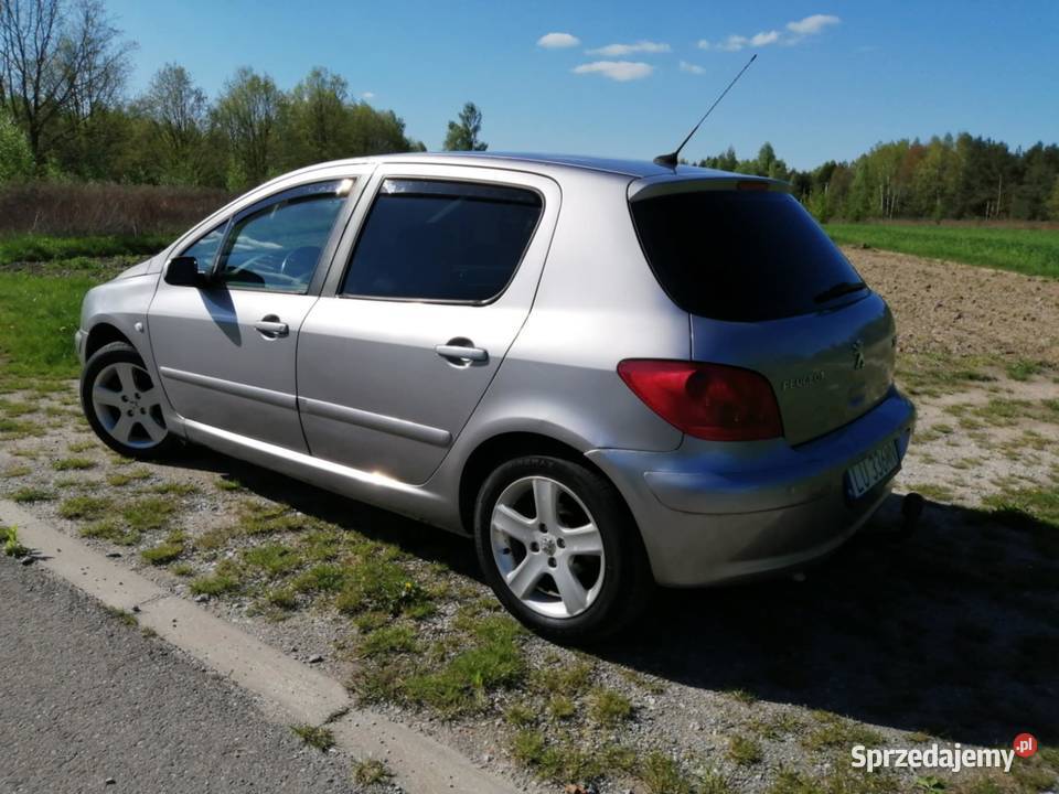 Peugeot 307 20 BG 136 2003r Rok produkcji 2003 Opole Lubelskie