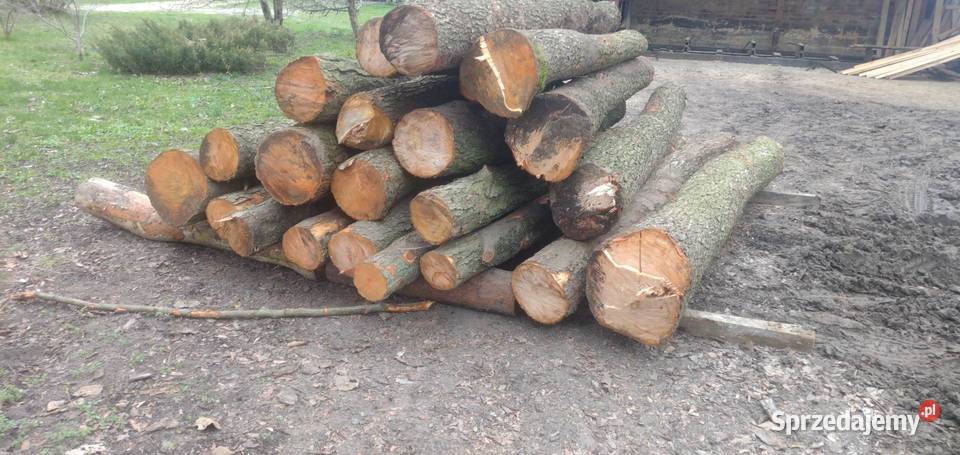 Drewno opałowe sosna brzoza kujawsko-pomorskie