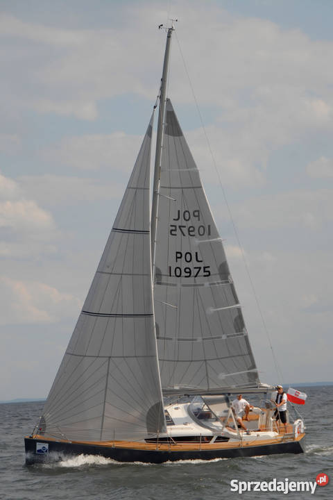Flabria 33 Gdańsk sprzedam