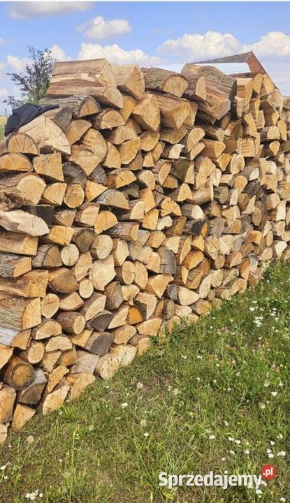Drewno kominkowe Drzewo opalowe Dąb Fakvat