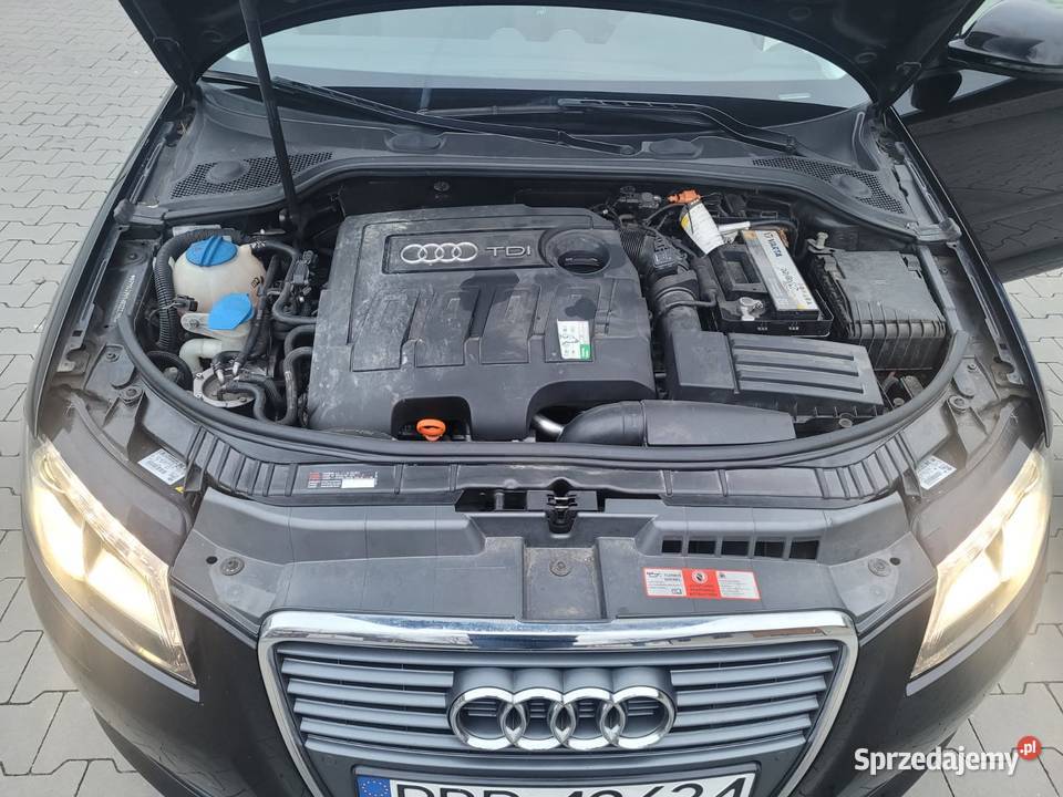 AUDI A3 8P 16 TDI 2010 ESP Haczów