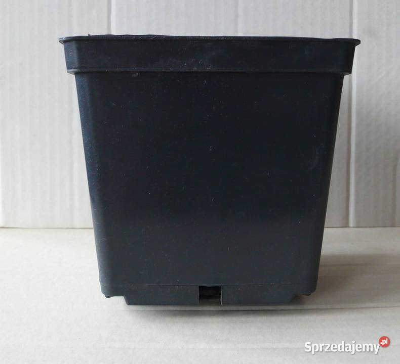 Doniczki produkcyjne 3000 Woj wielkopolskie Głębocko sprzedam