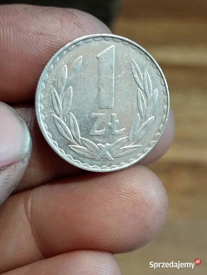 Sprzedam monete 1 zloty 1981r Numizmatyka Chełm sprzedam
