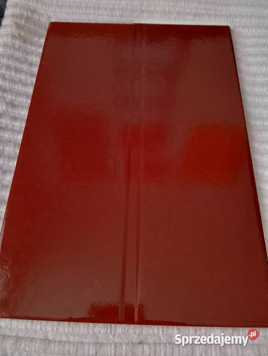Płytka klinkierowa elewacja taras 30 x 20 x 9 mm Nowa Dęba