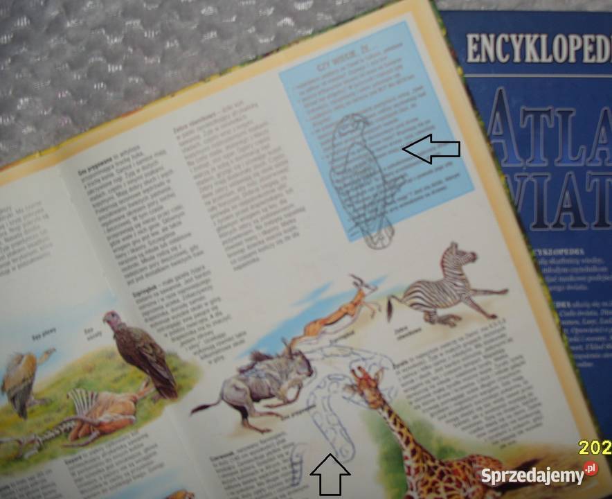 Encyklopedia Atlas Świata i Wielki Atlas ISBN 8371173873 Rawicz