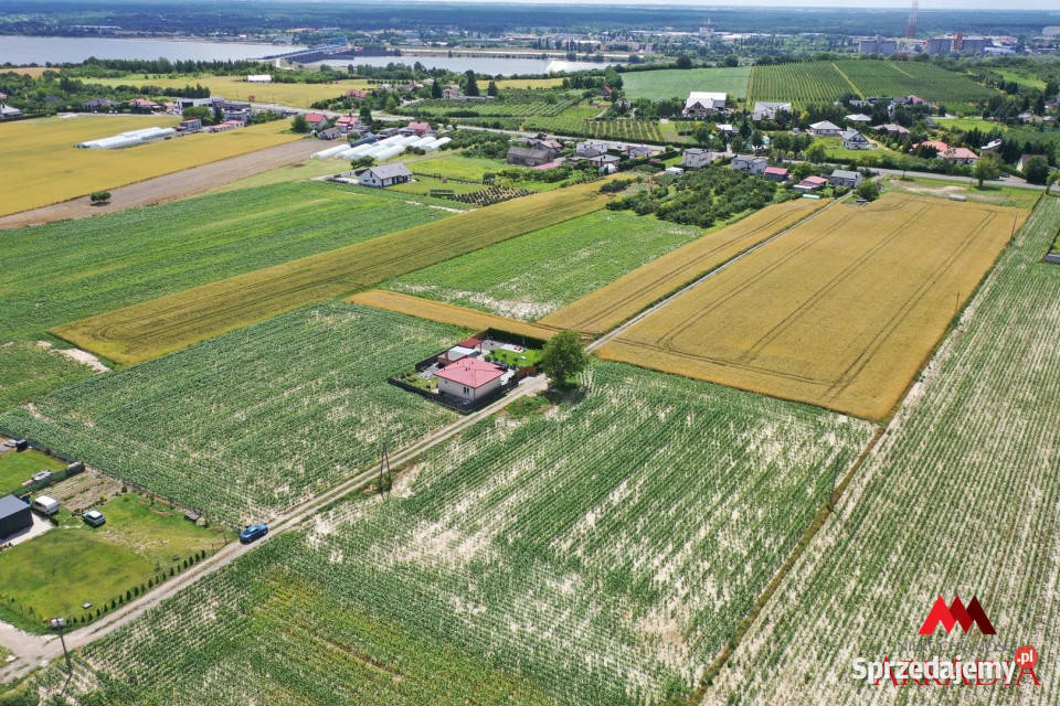 sprzedaży działki Szpetal Górny 89925m2 8992.5m2 Grunty i działki