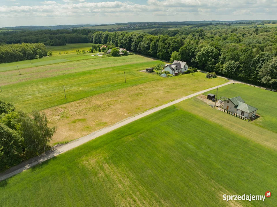 Ojcowski Park Narodowy uzbrojona 56 arowa działa 5600m2 Sprzedaż Wielmoża