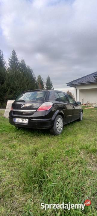 Opel astra h 2004 Rok produkcji 2004 Tyczyn