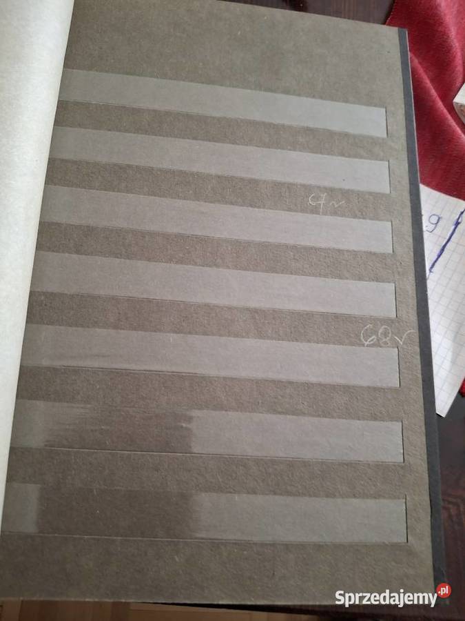 Różności wyprzedaż wielokolorowy