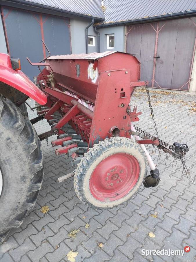 Siewnik poznaniak podlaskie Łomża