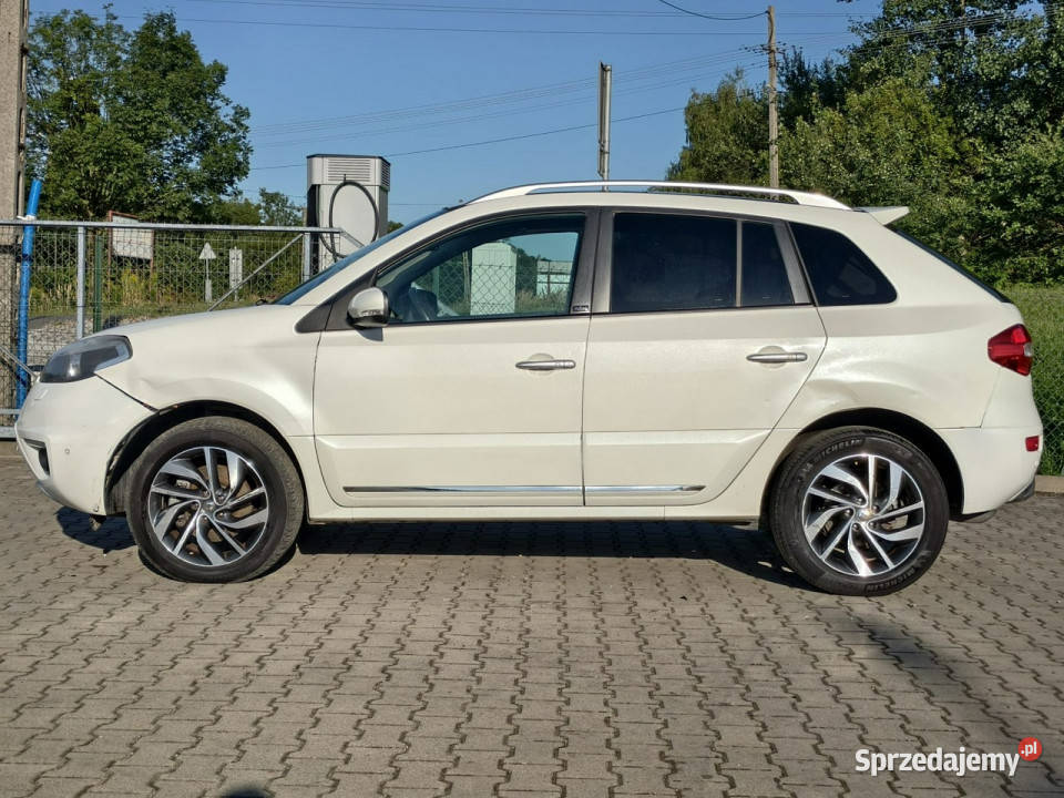 Renault Koleos 20dCi 175 automat panorama perła małopolskie Kęty