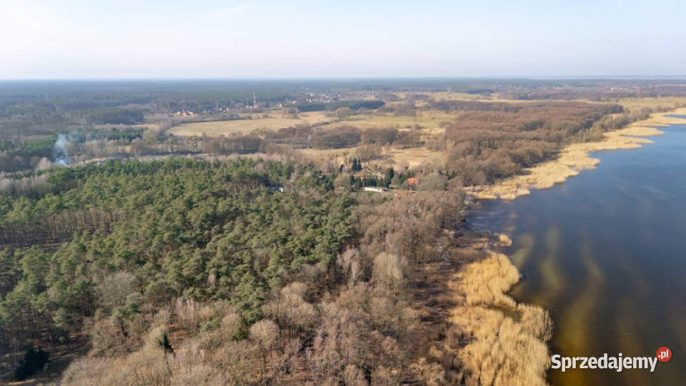 Działka lesie Zalewem Szczecińskim z warunkami 120zł/m2 zachodniopomorskie Nowe Warpno
