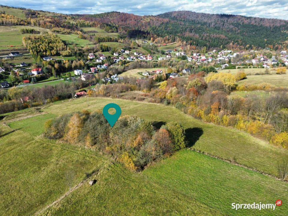 Ziemia 2000m2 RymanówZdrój 24zł/m2 podkarpackie Rymanów-Zdrój