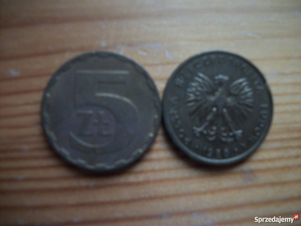 5 złotych Przemyśl