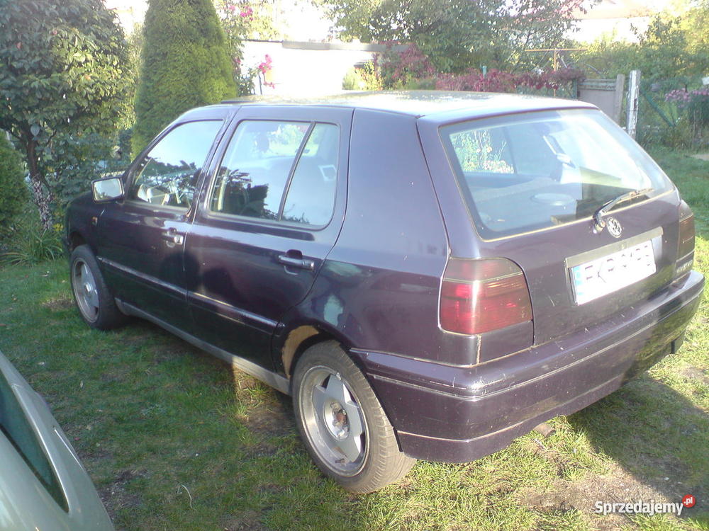 Volkswagen golf kat