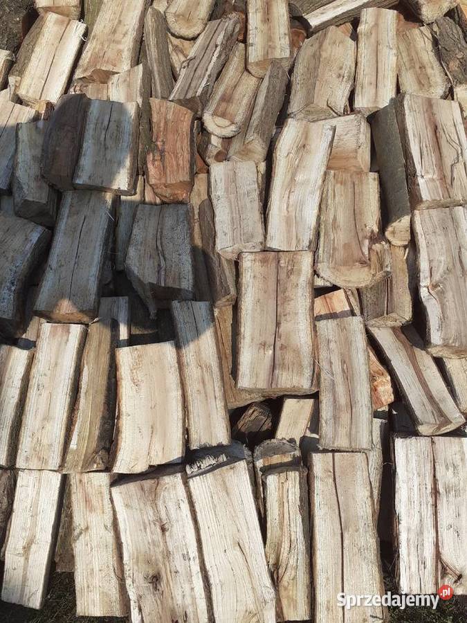 drewno drzewo na opał do kominka Kamienica Polska