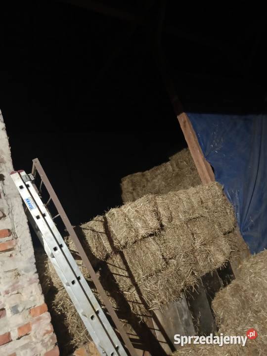 Siano w kostce Miłkowice sprzedam