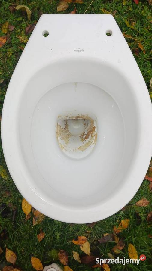 Muszla klozetowaspluczka i deska lubelskie Chełm