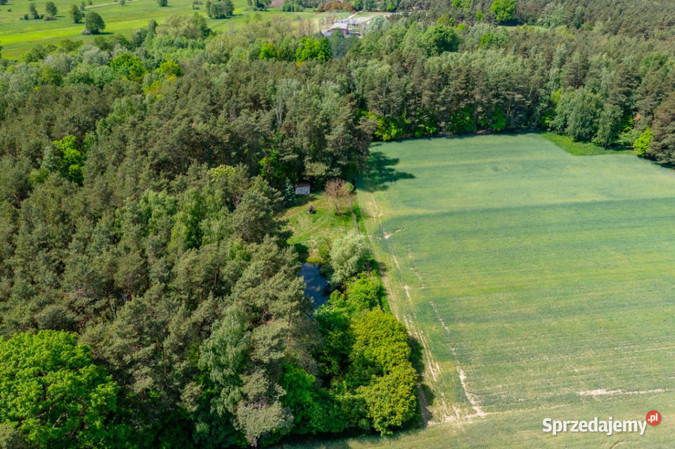 Budowlana 2300 m ze stawem i zielenią Góry Prusinowskie