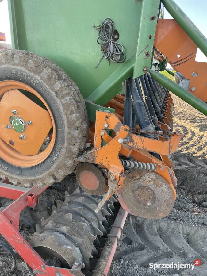 Amazone D9 Września sprzedam