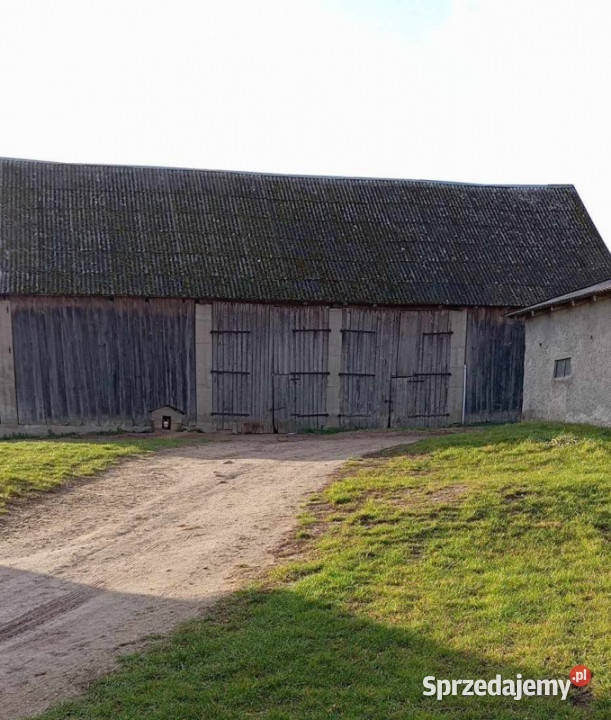 Sprzedam siedlisko 15 ha na Mazurach warmińsko-mazurskie Gawliki Wielkie