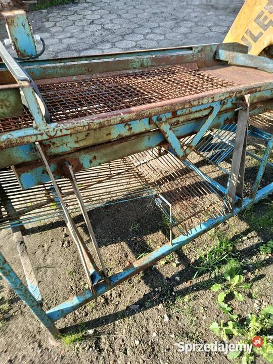 sortownik do ziemniaków Posądza