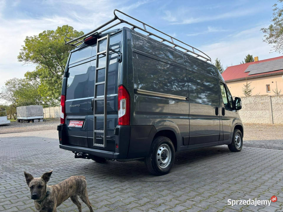 Fiat Ducato 202123 133116km Złotniki Kujawskie sprzedam