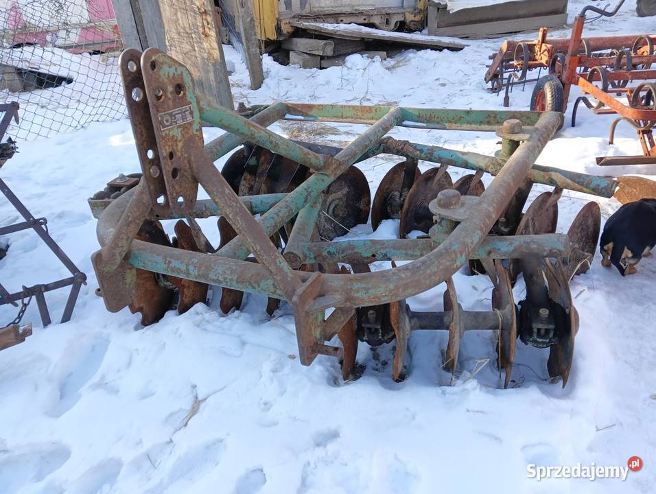 Talerzówka świętokrzyskie Huta Podłysica