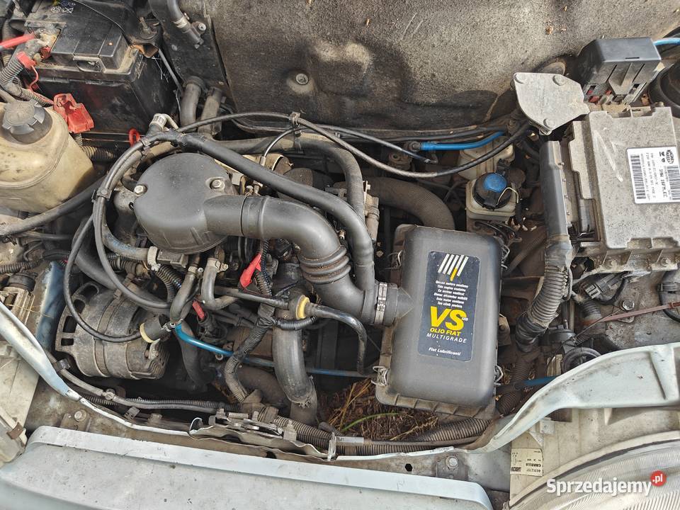 Fiat Seicento Young Oborniki