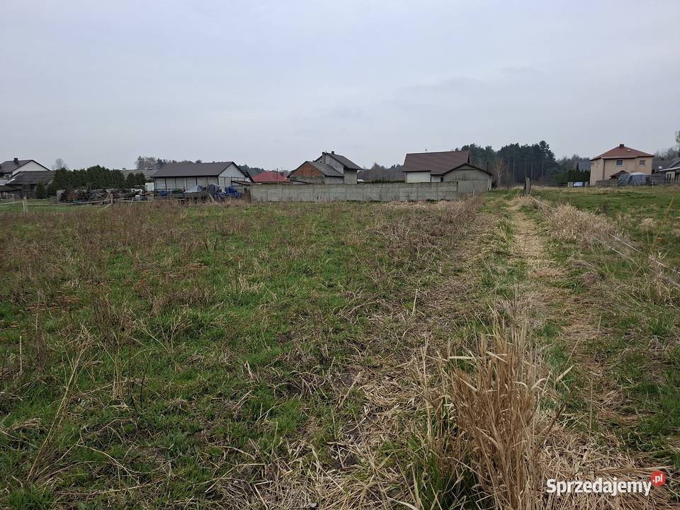 Działki budowlane Grunty i działki Włoszczowa sprzedam