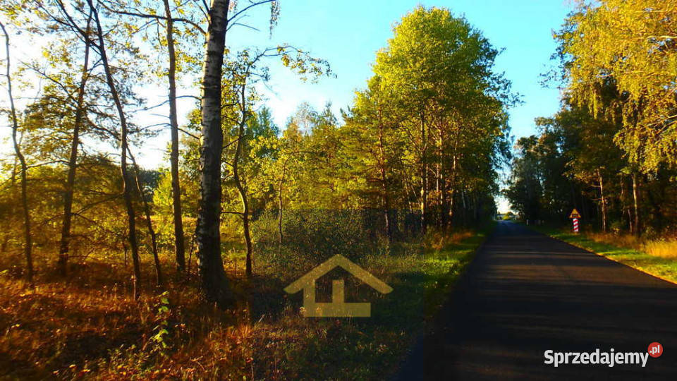 Działka budowlana w Niechnabrzu Niechnabrz
