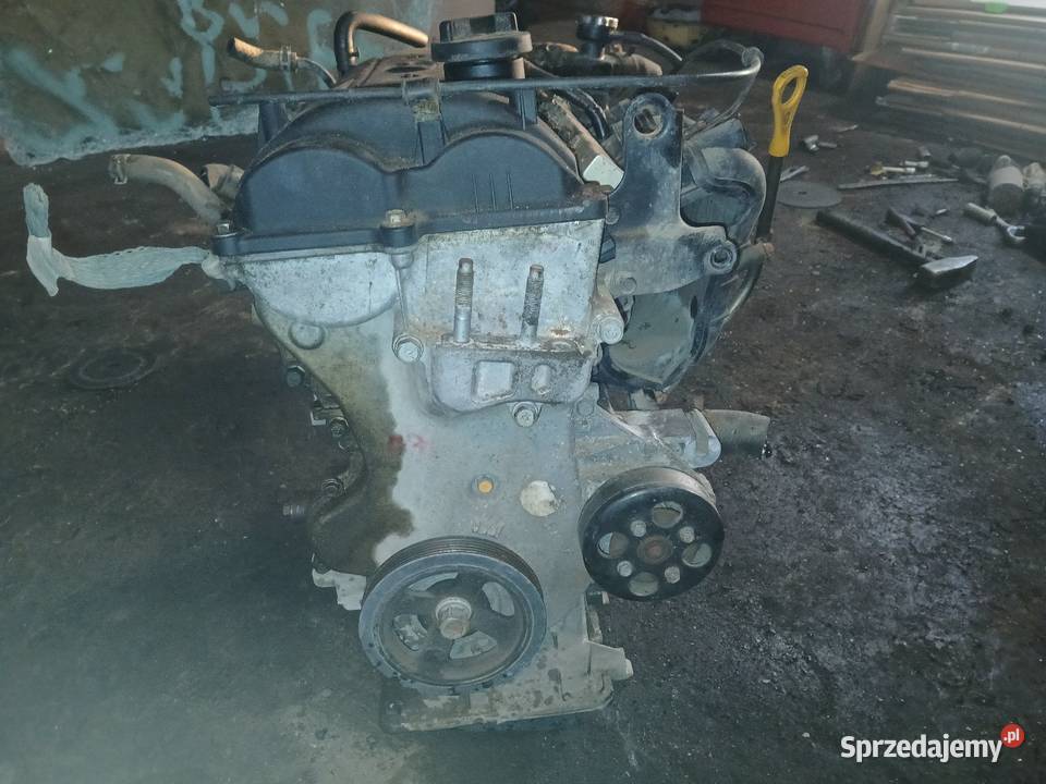 Silnik Hyundai i20 Kia G4LA 1216V Benz Rok produkcji 2011 Radłów