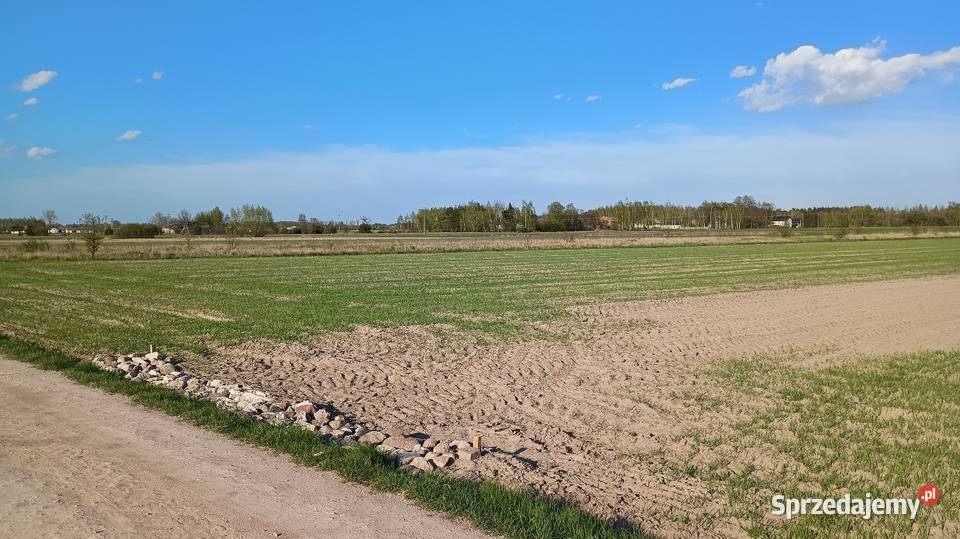 Działki budowlane z warunkami zabudowy Jedlanka