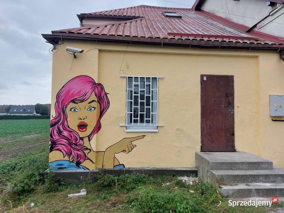 Pomogę ozdobić pomieszczenie śląskie Tychy