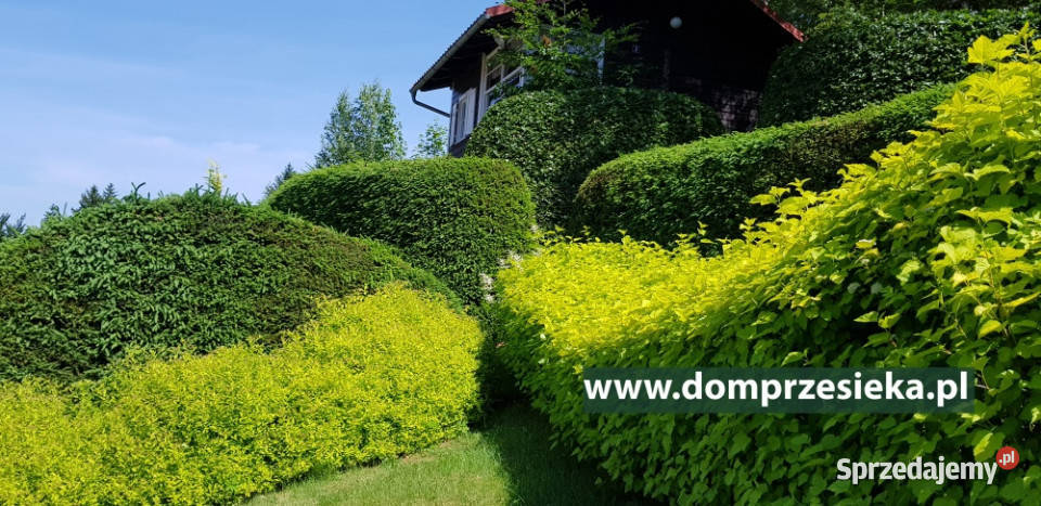 Działka częściowo budowlana z domkiem Przesieka
