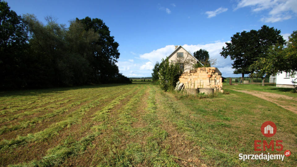 Lokal Jeńki 150m2