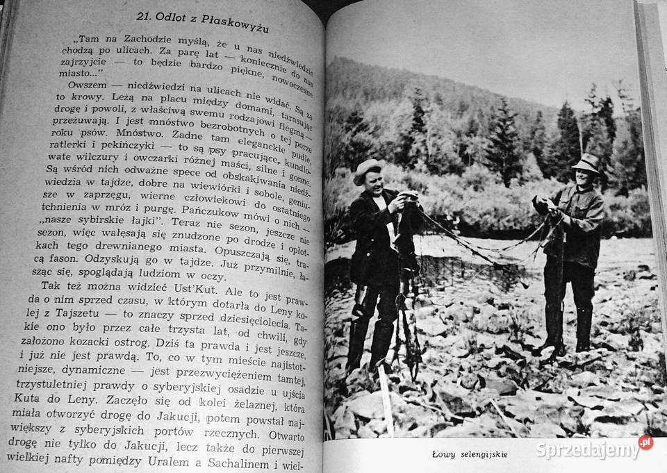 Portret z diamentów Józef Lenart Rok wydania 1966 Chełm sprzedam