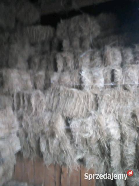 Sprzedam kostki siana Nowa Słupia