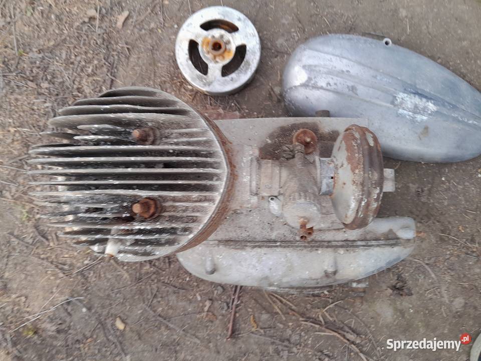 Silnik pannonia dolnośląskie Świerzawa