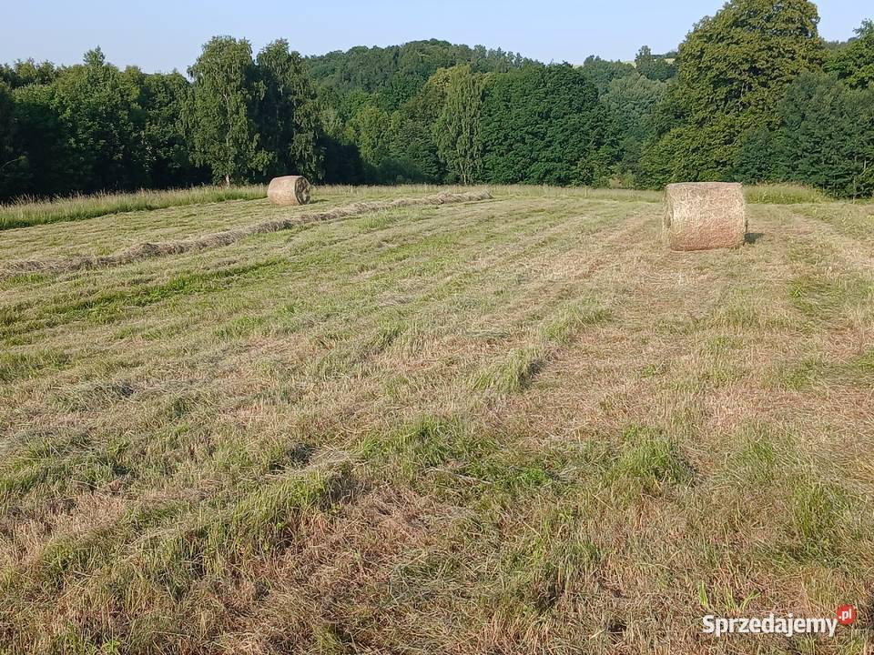 Baloty siana 120 x 120 czerwiec 2025 Nagórze