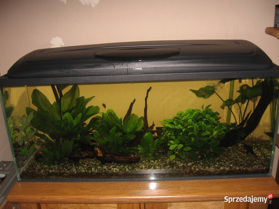 Akwarium 120x40x50m szkło 10mm Optiwhite Sosnowiec