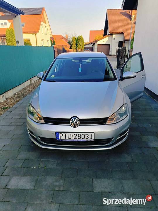 Vw Golf 16 TDI diesel Turek
