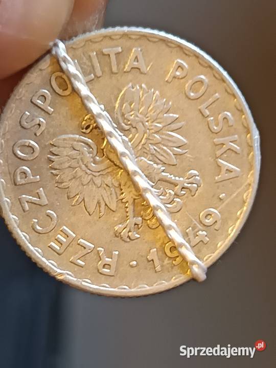 sprzedam 1 zloty 1949 r Chełm