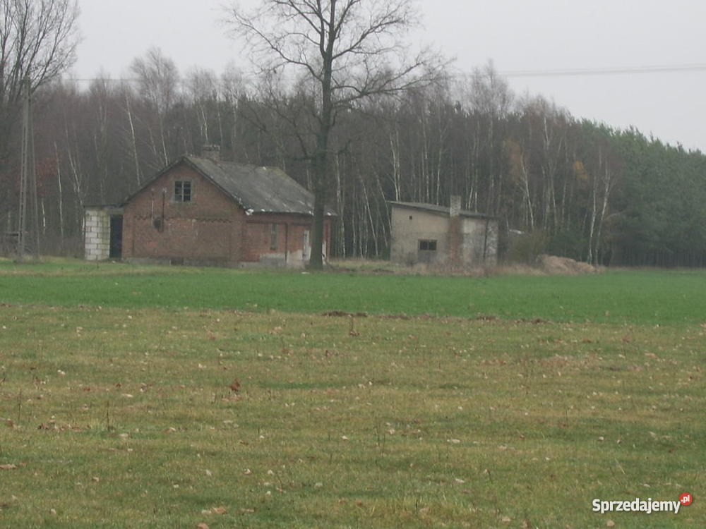 DOMEK POD LASEM Z DZIAŁKĄ120 Warszawy 2300m2 mazowieckie Sinogóra