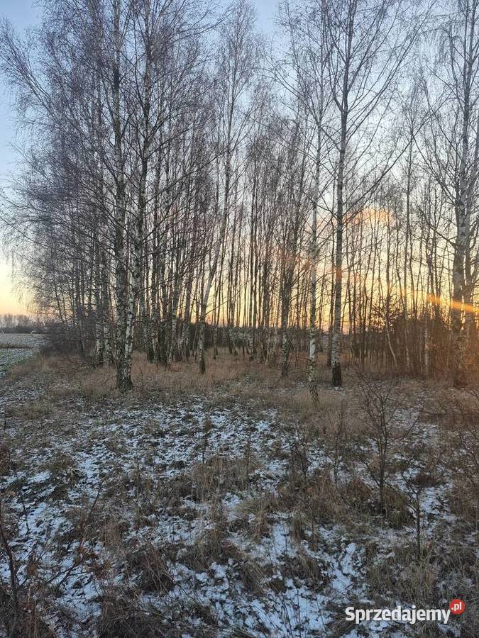 Ziemia rolna 5400m2 mazowieckie