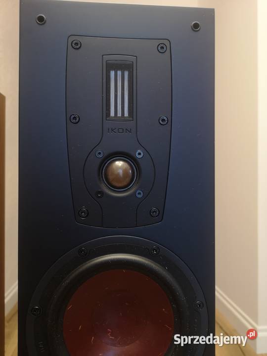 Sprzedam 2 kolumny Dali Ikon 6 MKZ Gdańsk