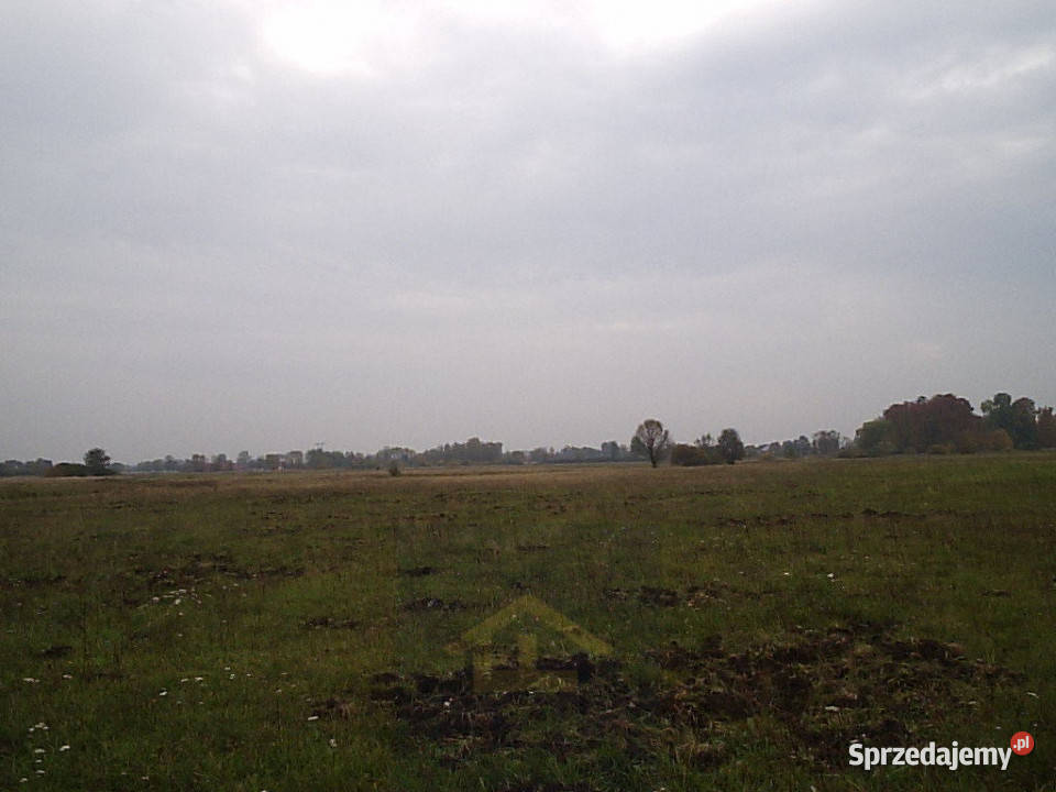 Działka w Całowaniu Całowanie