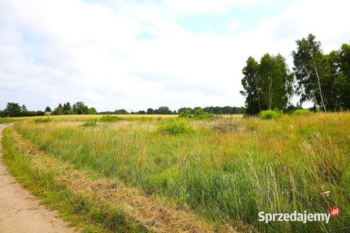 Grunt do sprzedania Stara Kiszewa 1129m2