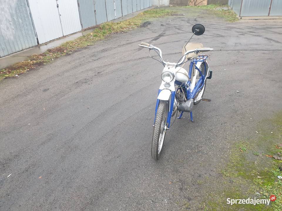 Komar sztywniak 2320 Stargard